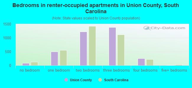 Bedrooms in renter-occupied apartments in Union County, South Carolina