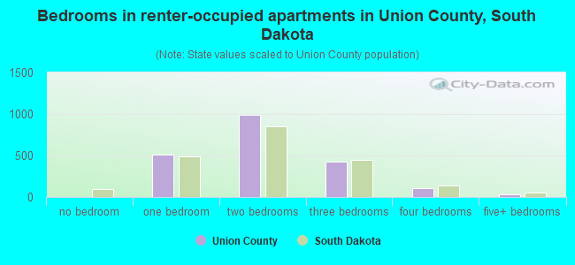 Bedrooms in renter-occupied apartments in Union County, South Dakota