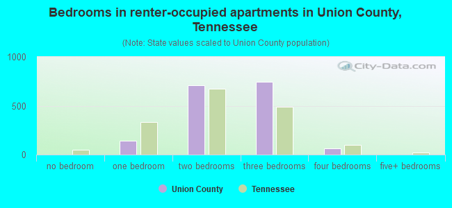 Bedrooms in renter-occupied apartments in Union County, Tennessee