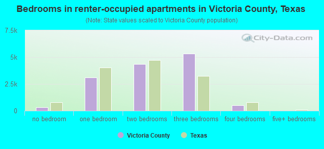 Bedrooms in renter-occupied apartments in Victoria County, Texas