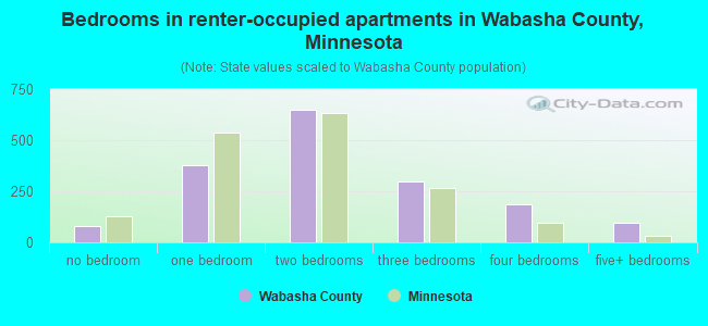 Bedrooms in renter-occupied apartments in Wabasha County, Minnesota