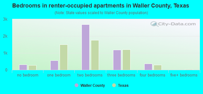 Bedrooms in renter-occupied apartments in Waller County, Texas