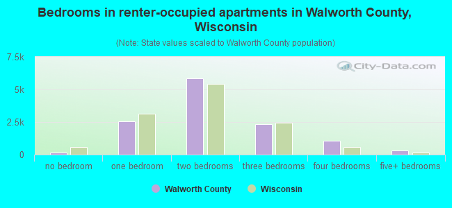 Bedrooms in renter-occupied apartments in Walworth County, Wisconsin