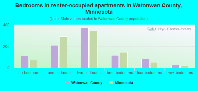 Bedrooms in renter-occupied apartments in Watonwan County, Minnesota