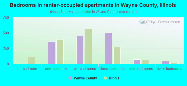 Bedrooms in renter-occupied apartments in Wayne County, Illinois