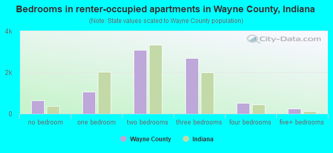 Bedrooms in renter-occupied apartments in Wayne County, Indiana