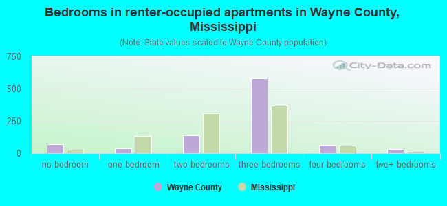 Bedrooms in renter-occupied apartments in Wayne County, Mississippi