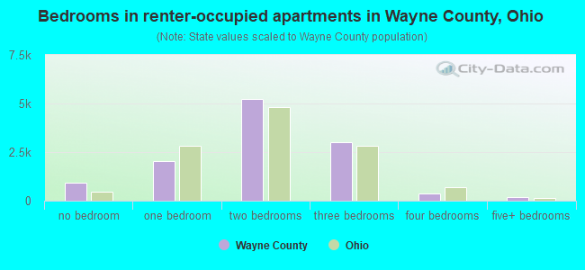 Bedrooms in renter-occupied apartments in Wayne County, Ohio