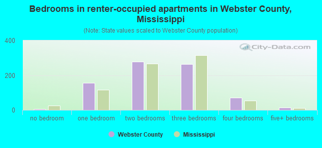 Bedrooms in renter-occupied apartments in Webster County, Mississippi