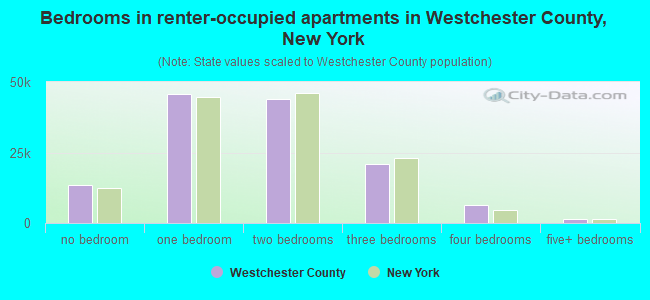 Bedrooms in renter-occupied apartments in Westchester County, New York