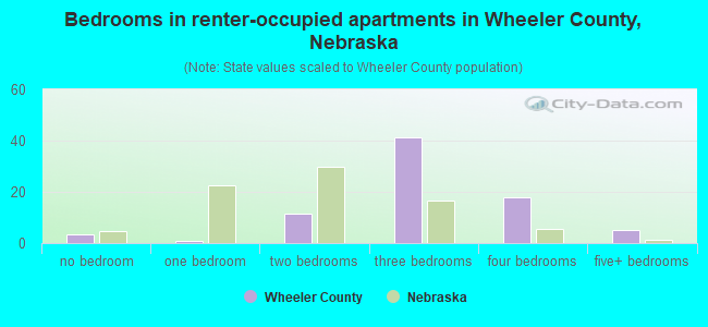 Bedrooms in renter-occupied apartments in Wheeler County, Nebraska