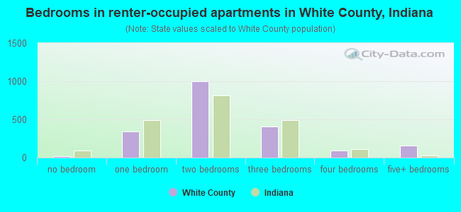 Bedrooms in renter-occupied apartments in White County, Indiana