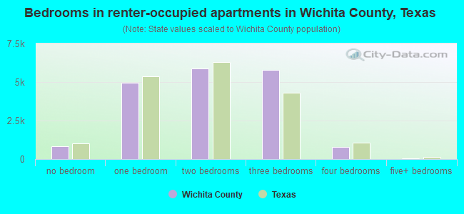 Bedrooms in renter-occupied apartments in Wichita County, Texas