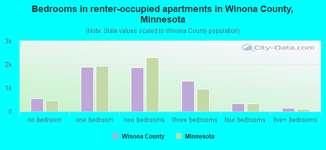 Bedrooms in renter-occupied apartments in Winona County, Minnesota