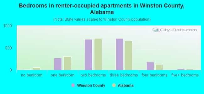Bedrooms in renter-occupied apartments in Winston County, Alabama