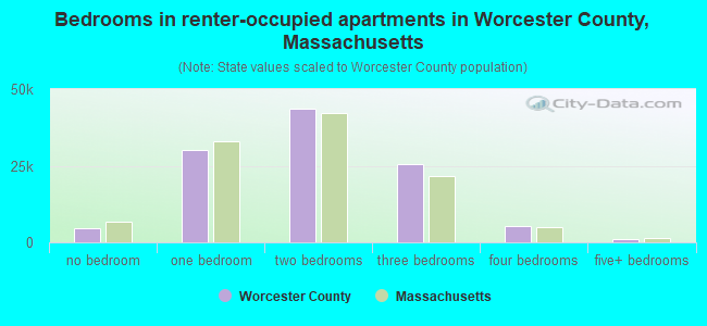 Bedrooms in renter-occupied apartments in Worcester County, Massachusetts