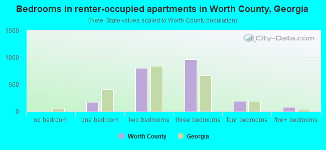 Bedrooms in renter-occupied apartments in Worth County, Georgia