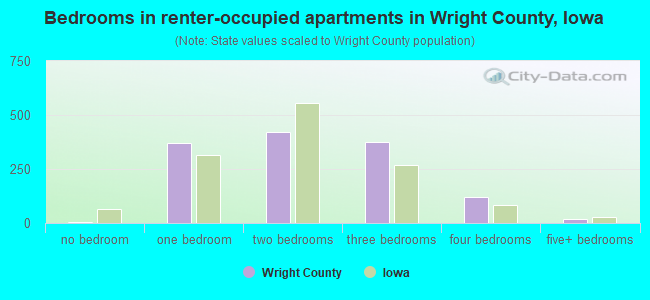Bedrooms in renter-occupied apartments in Wright County, Iowa