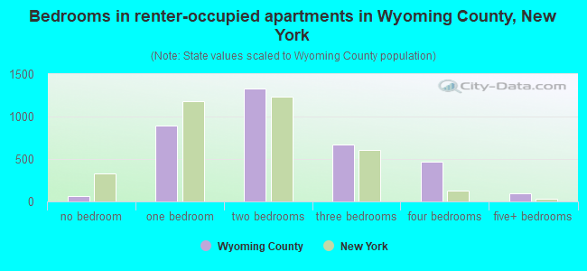 Bedrooms in renter-occupied apartments in Wyoming County, New York