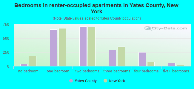 Bedrooms in renter-occupied apartments in Yates County, New York