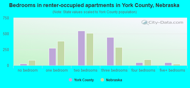 Bedrooms in renter-occupied apartments in York County, Nebraska