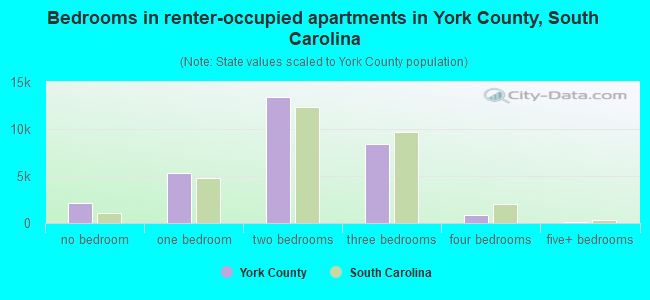 Bedrooms in renter-occupied apartments in York County, South Carolina