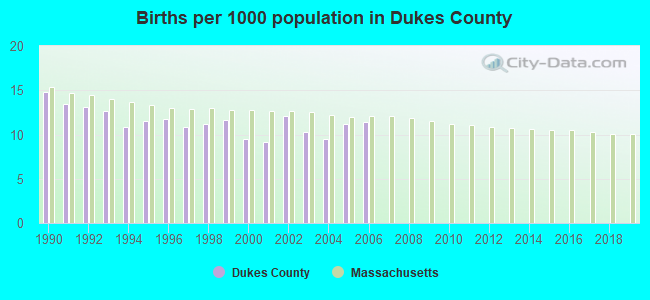 Births per 1000 population in Dukes County