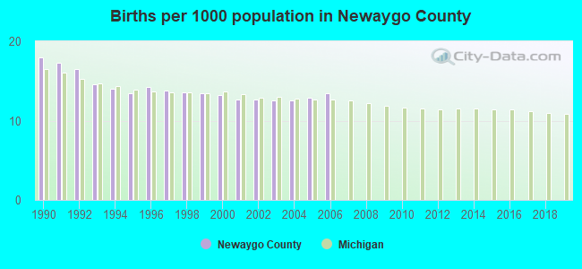 Births per 1000 population in Newaygo County