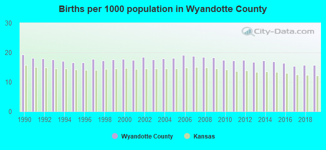 Births per 1000 population in Wyandotte County