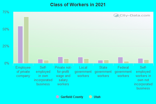 Class of Workers in 2021