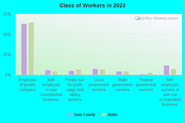 Class of Workers in 2021