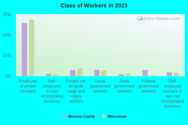 Class of Workers in 2021