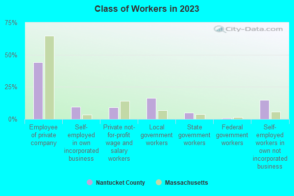 Class of Workers in 2021