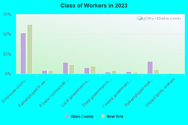 Class of Workers in 2021