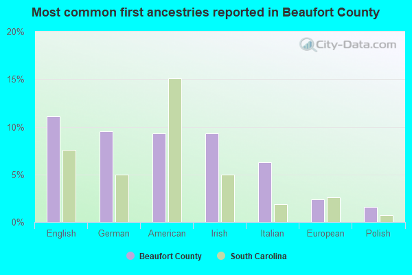 Most common first ancestries reported in Beaufort County