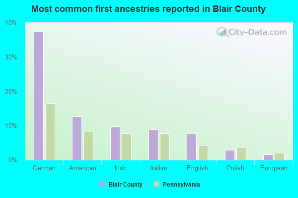 Most common first ancestries reported in Blair County