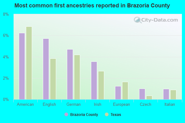 Most common first ancestries reported in Brazoria County