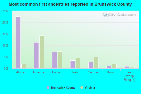 Most common first ancestries reported in Brunswick County