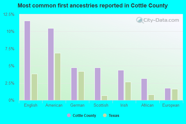 Most common first ancestries reported in Cottle County