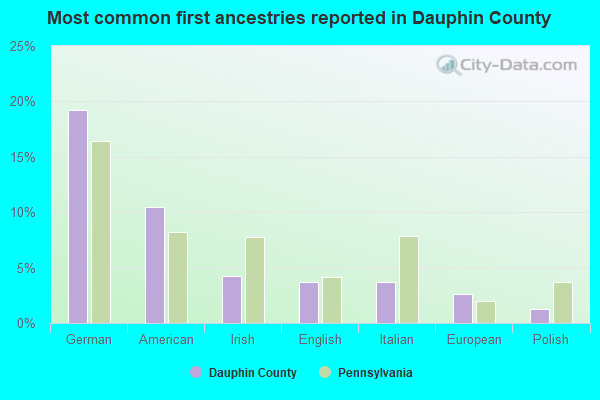 Most common first ancestries reported in Dauphin County