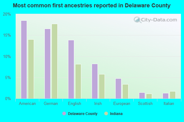 Most common first ancestries reported in Delaware County