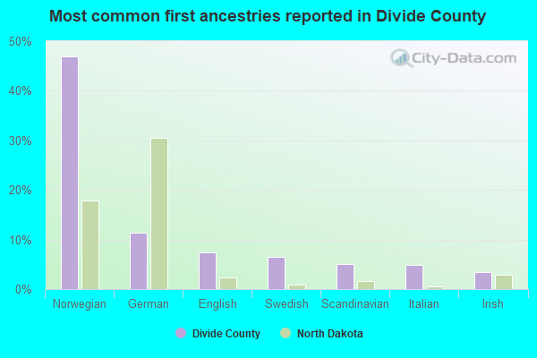 Most common first ancestries reported in Divide County