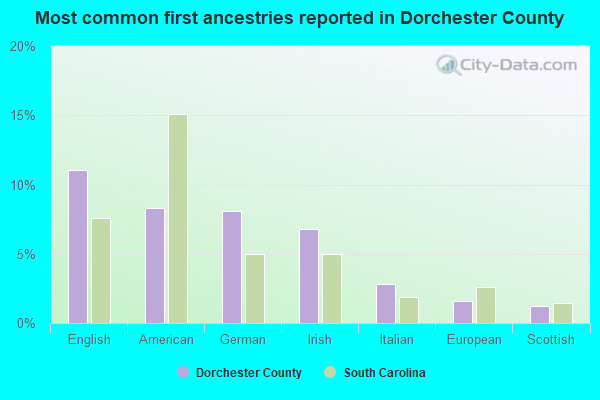 Most common first ancestries reported in Dorchester County