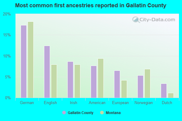 Most common first ancestries reported in Gallatin County