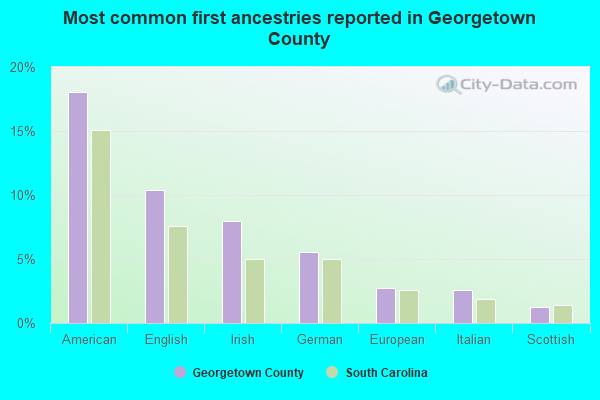 Most common first ancestries reported in Georgetown County