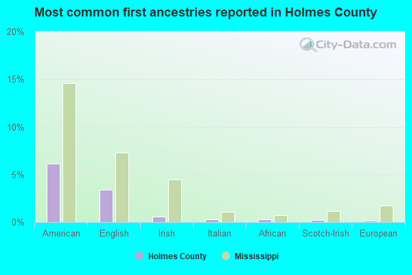 Most common first ancestries reported in Holmes County