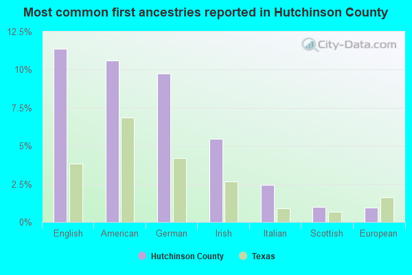 Most common first ancestries reported in Hutchinson County