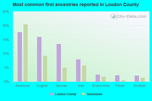 Most common first ancestries reported in Loudon County