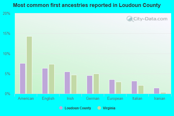 Most common first ancestries reported in Loudoun County