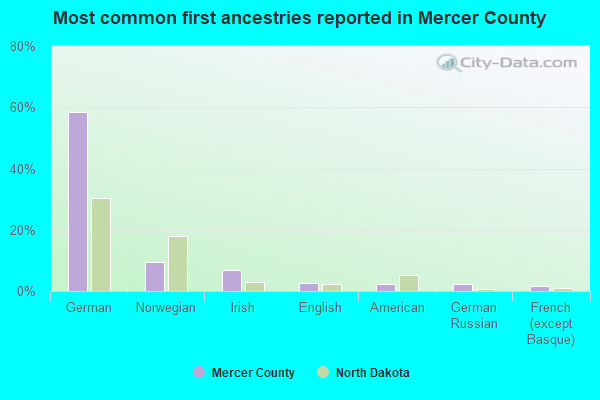 Most common first ancestries reported in Mercer County